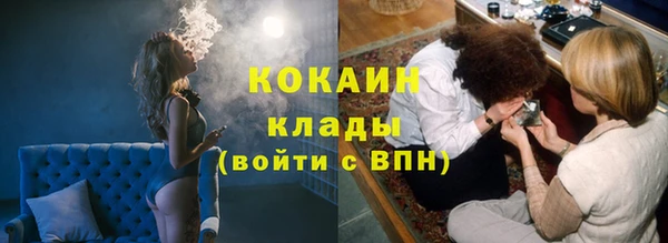 шишки Баксан