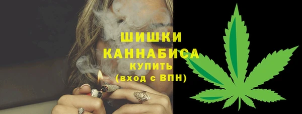 шишки Баксан