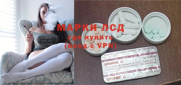 шишки Баксан